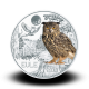 16 g (Cu/Ni), Sova - 3 € zbirateljski kovanec (2018), serija Živali v barvah