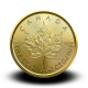 3,131 g, Zlatni Kanadski javorov list
