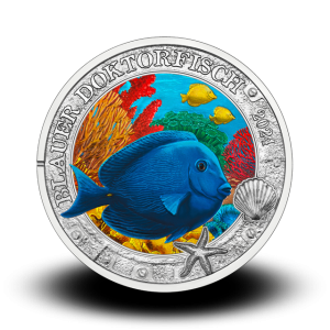 16 g Doctor Fish - 3 € zbirateljski kovanec (2024), serija Čarobni podvodni svet