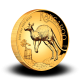 62,324 g, Zlatni Australski klokan 